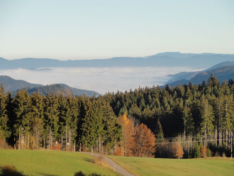 Nebel im Tal